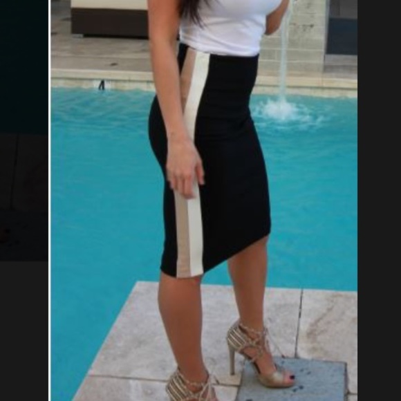 Black and Taupe Stripe Pencil Skirt