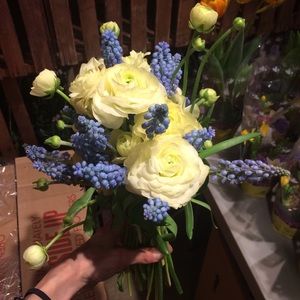 Meet your Posher, Maddie