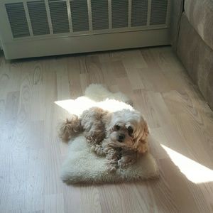 Meet your Posher, Juestina