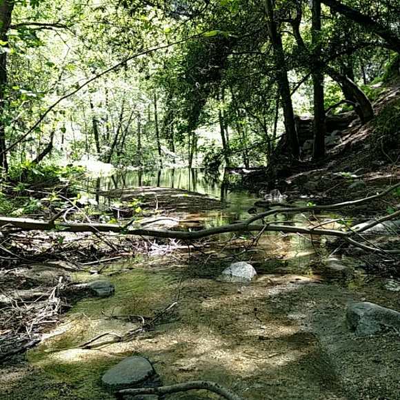 Meet your Posher, Samantha - Picture 2 of 2