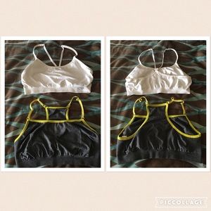 Champion sports bras