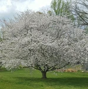 Meet your Posher, Melinda