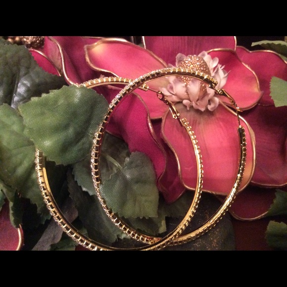 Rhinestone Hoop Earrings - Picture 2 of 3