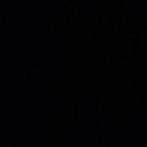 Meet your Posher, Rose