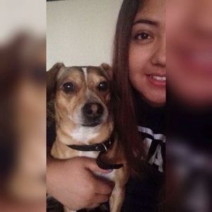 Meet your Posher, Briana