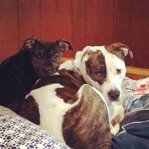 Meet your Posher, Lindsay