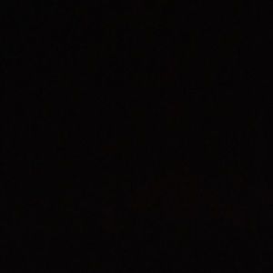 Meet your Posher, Connie