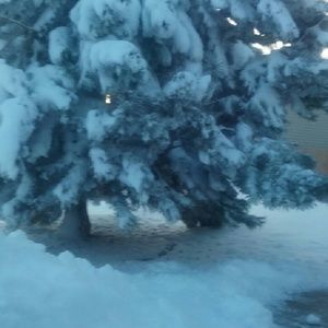 Meet your Posher, Beatriz