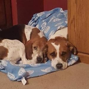 Meet your Posher, Shannon