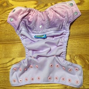 Cloth Diaper EBB Once Upon a Time w/two tone snaps