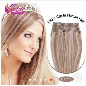 18" CLIP IN HAIR EXTENSIONS  (color# 12/613