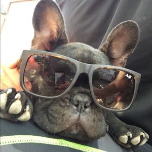 Meet your Posher, Krystal