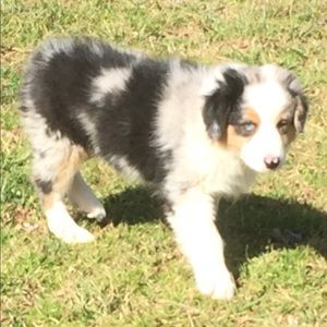 Meet your Posher, Tanya