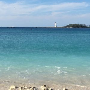 Meet your Posher, Lily