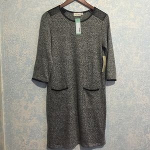 Elly Knit Dress (Stitch Fix)