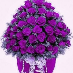 Meet your Posher, Verna