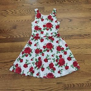 Rose Print Skater Dress