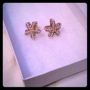 Adorable starfish earrings