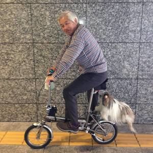 Meet your Posher, Joe