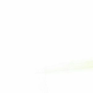 Meet your Posher, Isaura