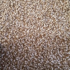 Meet your Posher, Joyce