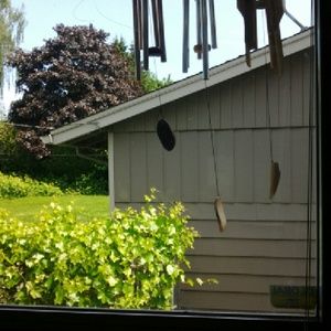 Meet your Posher, Rita