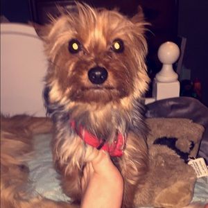 Meet your Posher, Olivia