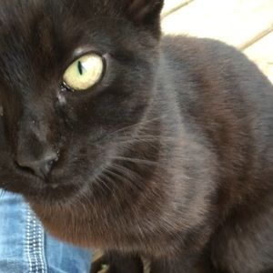 Meet your Posher, Madison