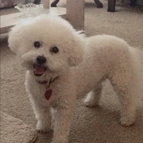 Meet your Posher, Lexi