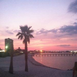 Meet your Posher, Patrice