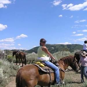 Meet your Posher, Robin