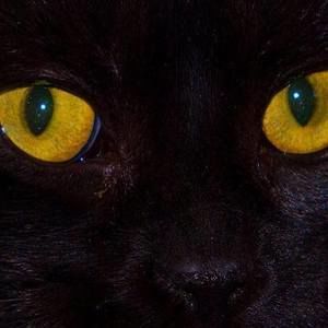 Meet your Posher, Del