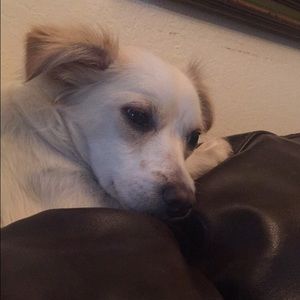 Meet your Posher, Elida