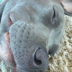 Meet your Posher, Lana