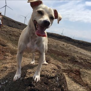 Meet your Posher, Anj