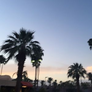 Meet your Posher, Lilly