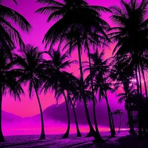 Meet your Posher, Miranda