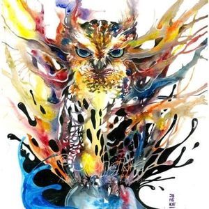 Meet your Posher, Diana