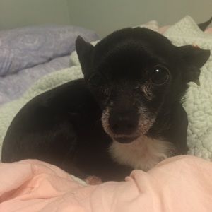 Meet your Posher, Sonya