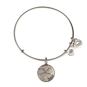 #2 Alex and Ani Friend Bangle Bracelet silver
