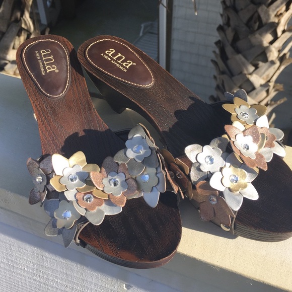 ANA slides