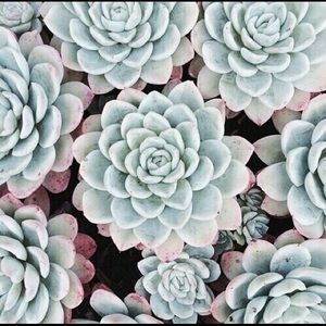 Meet your Posher, Nylah