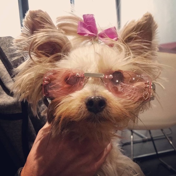Pink sunglasses for dogs, 100% UV block