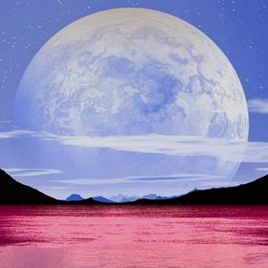 Meet your Posher, Pedro