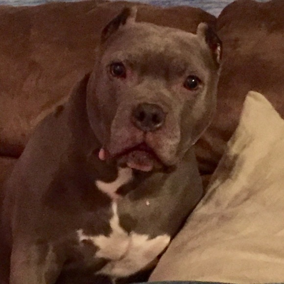 Meet your Posher, Misty