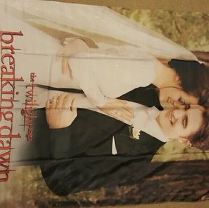 Silky breaking dawn twilight poster