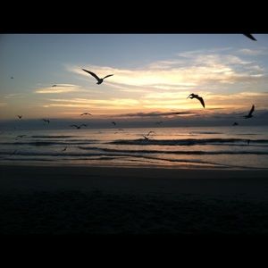 Meet your Posher, Sandy