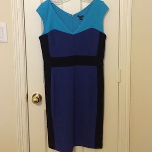 Ann Taylor Color Block Dress