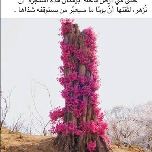 Meet your Posher, Bat