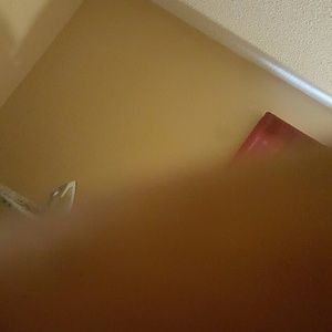 Meet your Posher, Dani